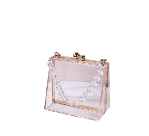 Transparent Luxury Designer Handbag | Go Clear Bag